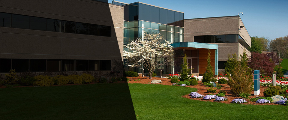 Albion Landscapers