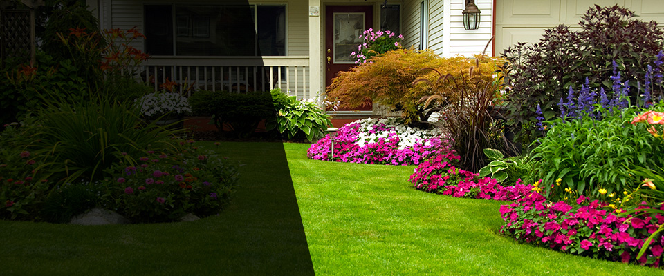 Albion Landscapers