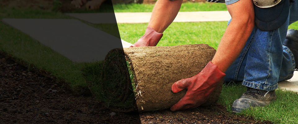 Albion Landscapers